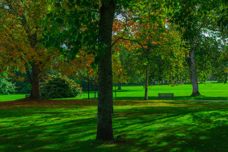 Beautiful autumn scenery filled with vibrant trees and soft golden light.の写真素材