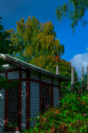 Bright autumn trees surround the corner of a cozy small house. Warm yellow and orange tones create a calm seasonal atmosphere.の写真素材