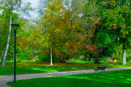 A cozy autumn park with a bench and street lamp among golden leaves.の写真素材
