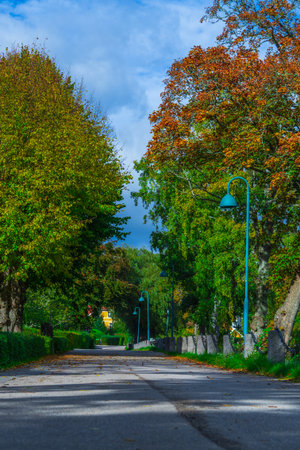 Beautiful autumn street lined with bright orange and yellow trees.の写真素材