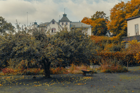 A peaceful autumn scene with a wheelbarrow filled with apples and rakes under a tree.の写真素材