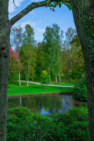 A scenic view of a lake and trees in autumn from a small hill â full of golden tones.の写真素材