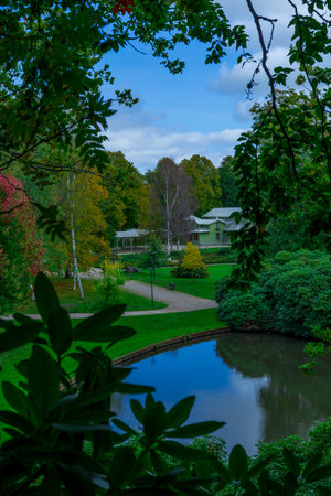 Warm autumn tones of a lake and surrounding forest seen from a small hill.の写真素材