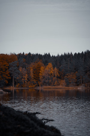 Calm forest lake surrounded by autumn trees in warm moody tones. Peaceful fall landscape reflection.の写真素材