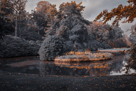 Beautiful autumn park with calm lake and colorful trees in soft moody tones.の写真素材