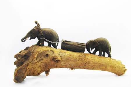 Wood elephant の写真素材