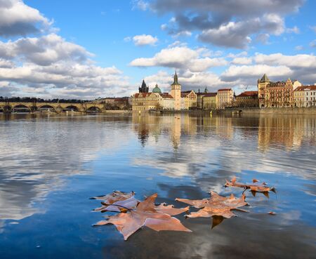 Autumn maple leaf on the Vltava River in Pragueの写真素材