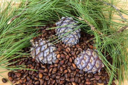 Pine cones and needles closeup on a wooden table