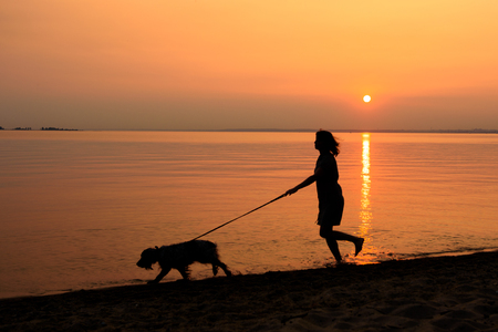 Walking the dog along the beachの写真素材