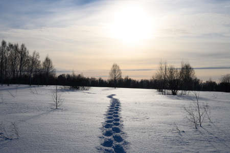 Schneeschuhspuren im Tiefschnee an einem klaren sonnigen Tag