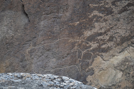 Rock carvings in Gobustan Park. Azerbaijan, Baku.の写真素材