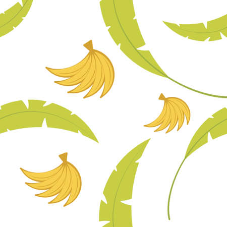 Vector tropical palm leaves and green bananas color pattern. Banana leaves and bananas on white background. Concept for wrapping paper or fabric. Summer time.のイラスト素材