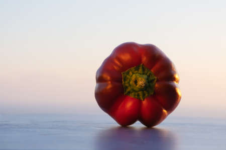 Tail of red pepper on summer sunset background. Space for text. Copy space. Summer and autumn food concept. Mediterranean lifestyle.の写真素材