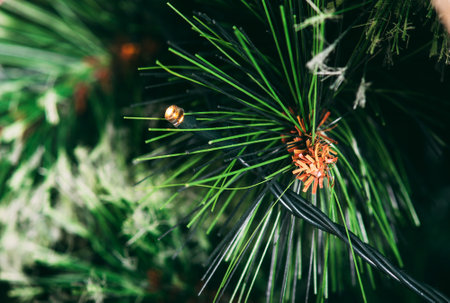 A garland on decorated green Christmas tree. Christmas tree decoration.の写真素材