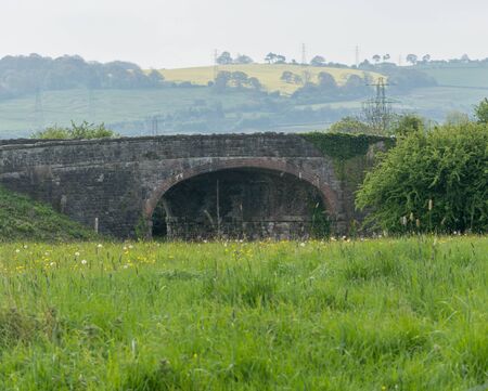 meadow with old bridge and rapeseed fieldの写真素材