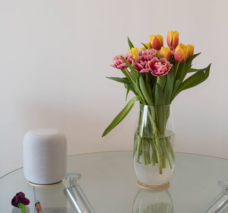 HomePod with tulipsの写真素材