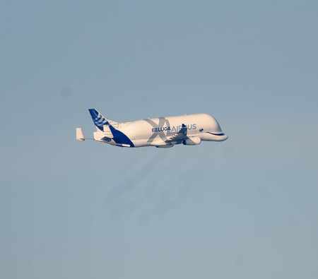 The Beluga Airbus A300-600ST in flight to Filton UKのeditorial素材