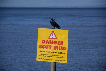 A black crow perches on a danger soft mud sign by the seasideの写真素材