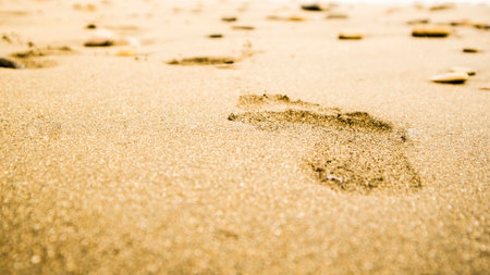 footprint on the beachの写真素材
