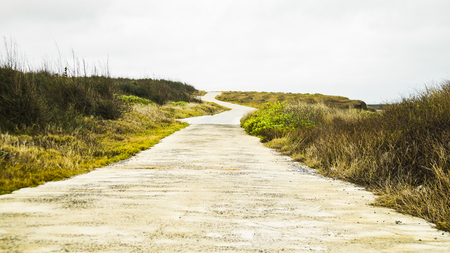 The way of countrysideの写真素材