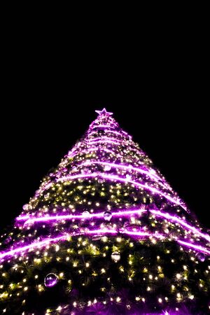 Led light on the Christmas treeの写真素材