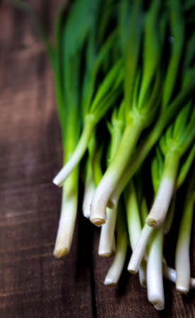 Closeup of the fresh chivesの写真素材