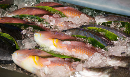 close-up of a seafood stallの写真素材