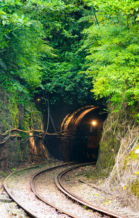 The train on the railway line comes from a dark tunnel. tour train on old railway.