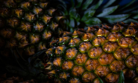 close-up of fresh pineappleの写真素材