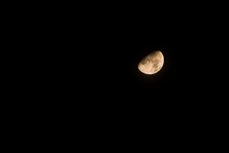 pale yellow half moon in the night sky.の写真素材
