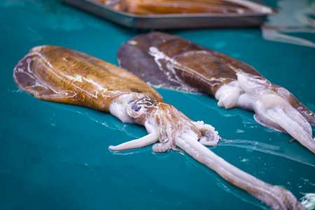 Two different-sized squids displayed on a stall at a seafood market