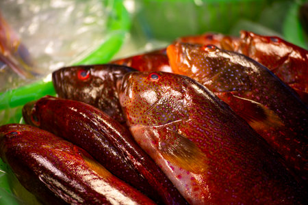 several fresh red mullet fish arranged on an ice bed atop a green surface