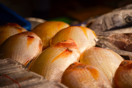 a plate of fresh seabream is neatly arrangedの写真素材