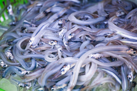 a scene at a traditional fish market or seafood stallの写真素材