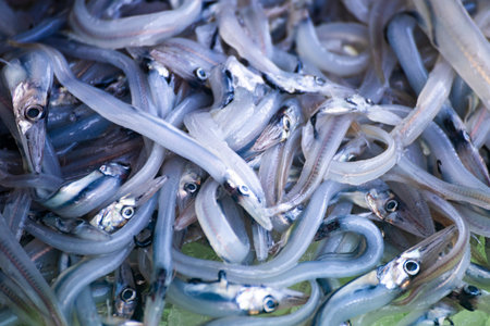 a scene at a traditional fish market or seafood stall