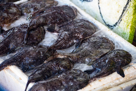 depicts the Anglerfish, a fish renowned for its bizarre appearance and deep-sea habitat