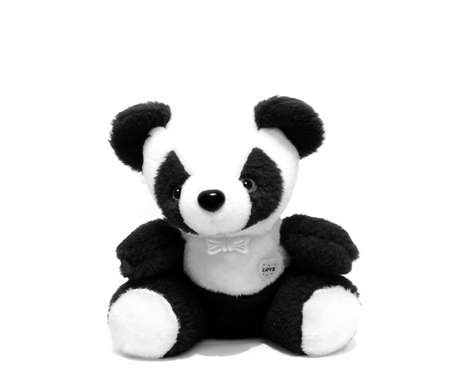 cute black and white panda toyの写真素材