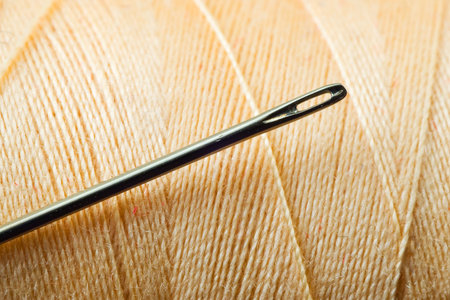 Needle