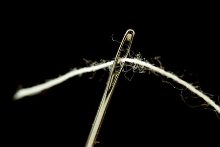 Needle