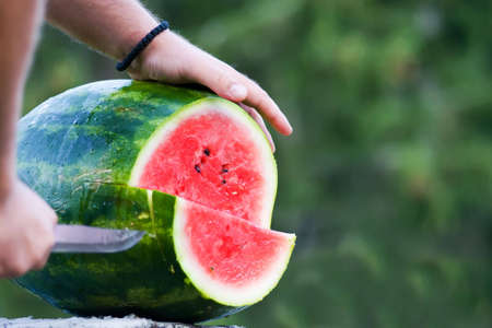 Water Melonの写真素材