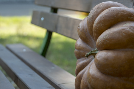orange halloween pumpkin with carving, crushed and collapsible typology, on a background in nature or whiteの写真素材