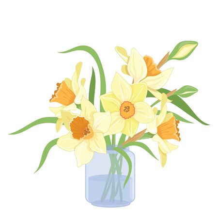 Bouquet narcissus on a vase isolated vector clipart illustration of spring narcissus flowersのイラスト素材