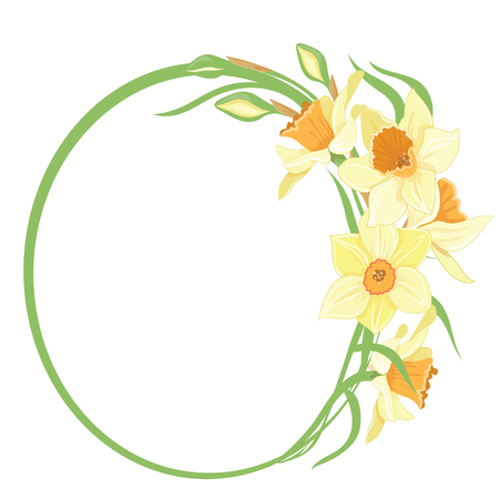 Bouquet narcissus, in a round frame isolated vector clipart illustration of spring narcissus flowersのイラスト素材