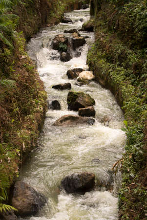 Narrow stream of river water with stones and steep banks with green vegetationの写真素材