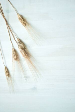 Ears of rye on a white wooden backgroundの写真素材