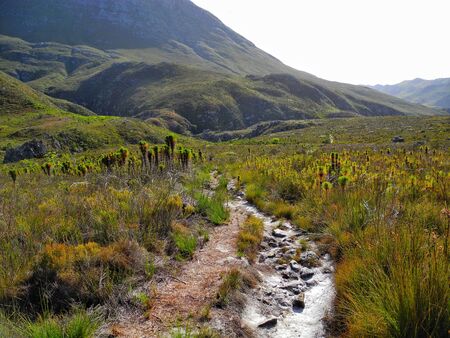 Riviersonderend, South Africaの写真素材
