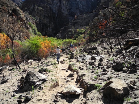 Kromrivier, South Africaの写真素材