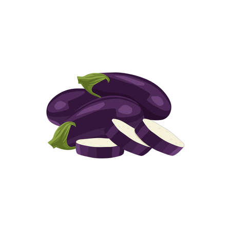 Fresh vegetable Eggplant isolated vector in white backgroundのイラスト素材