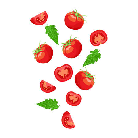 Fresh vegetable tomato falling with cut pieces and leaves vectorのイラスト素材