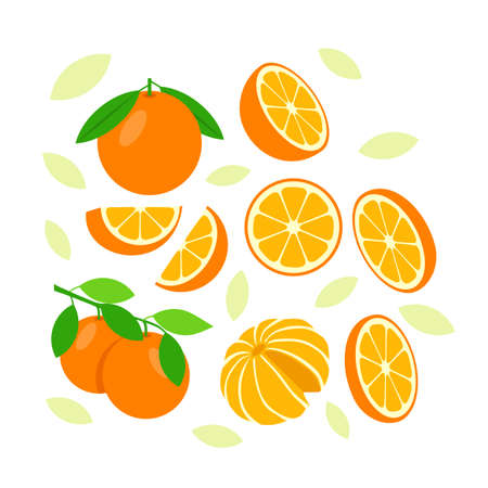 Orange fruit elements abstract vector design background for packaging designのイラスト素材